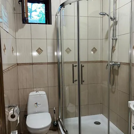 ворота в карпати *